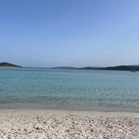 Tamarina